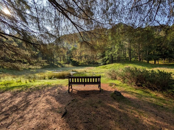 PXL_20250611_072002739